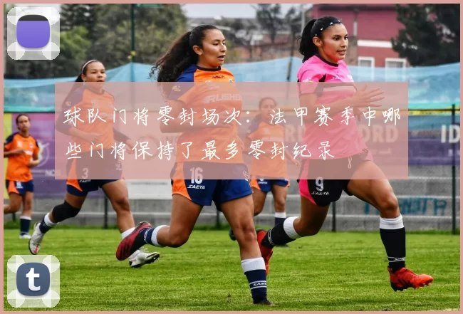 球队门将零封场次：法甲赛季中哪些门将保持了最多零封纪录