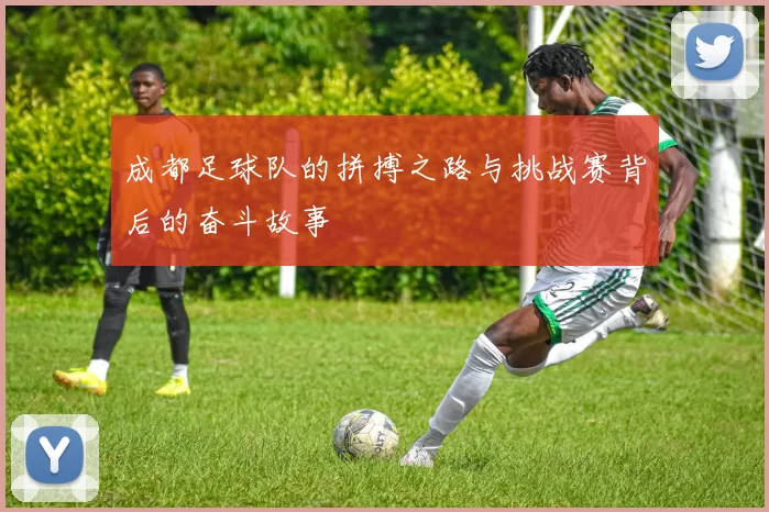 成都足球队的拼搏之路与挑战赛背后的奋斗故事