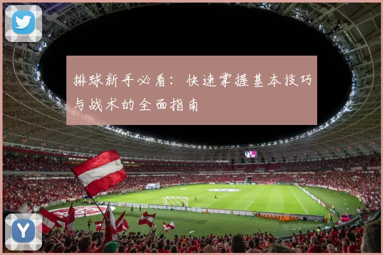 排球新手必看：快速掌握基本技巧与战术的全面指南