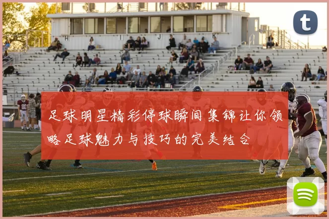 足球明星精彩停球瞬间集锦让你领略足球魅力与技巧的完美结合