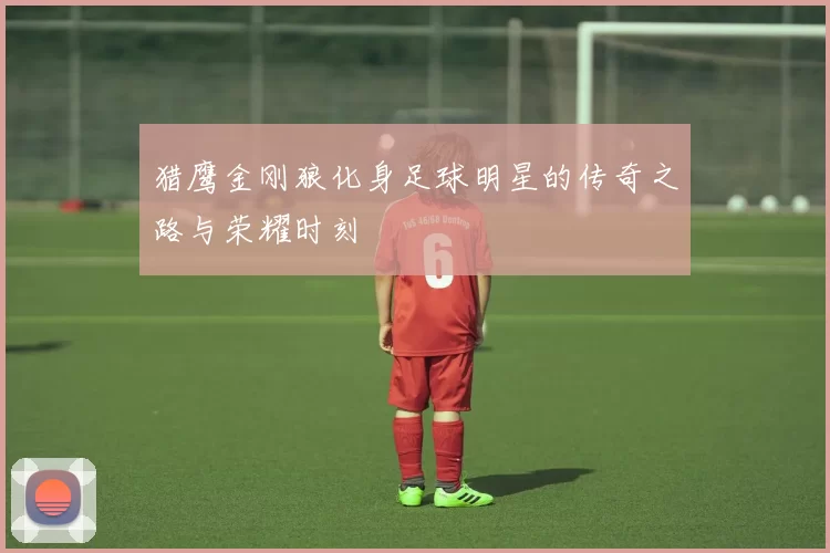 猎鹰金刚狼化身足球明星的传奇之路与荣耀时刻