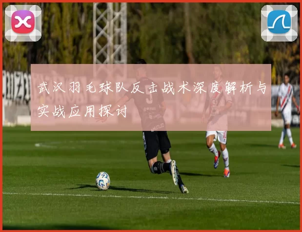 武汉羽毛球队反击战术深度解析与实战应用探讨