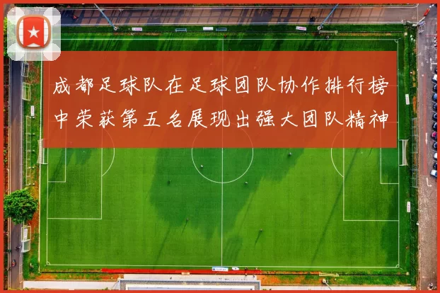 成都足球队在足球团队协作排行榜中荣获第五名展现出强大团队精神与实力