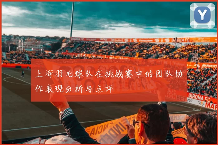 上海羽毛球队在挑战赛中的团队协作表现分析与点评