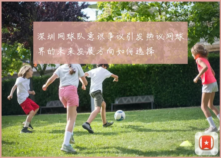 深圳网球队意识争议引发热议网球界的未来发展方向如何选择