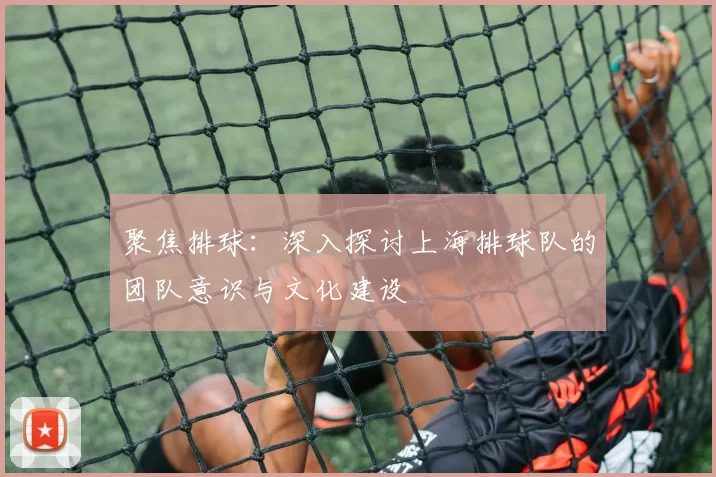 聚焦排球：深入探讨上海排球队的团队意识与文化建设