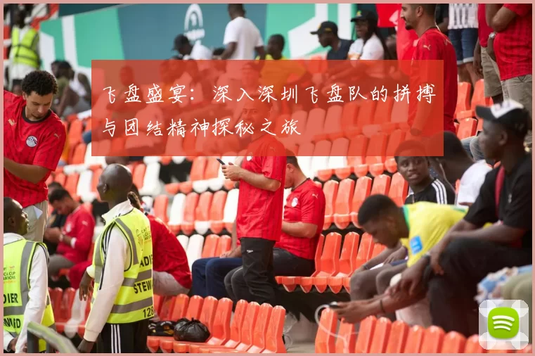 飞盘盛宴：深入深圳飞盘队的拼搏与团结精神探秘之旅