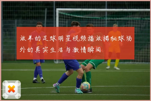 放羊的足球明星视频播放揭秘球场外的真实生活与激情瞬间