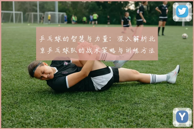 乒乓球的智慧与力量：深入解析北京乒乓球队的战术策略与训练方法