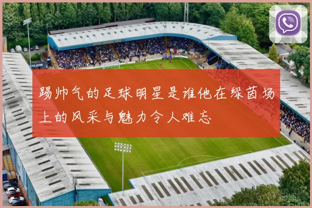 踢帅气的足球明星是谁他在绿茵场上的风采与魅力令人难忘