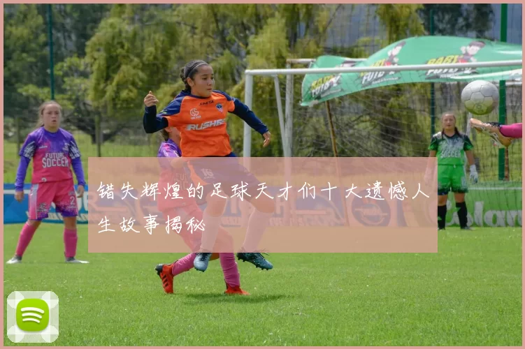 错失辉煌的足球天才们十大遗憾人生故事揭秘