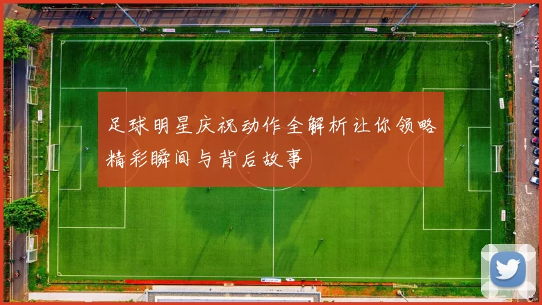 足球明星庆祝动作全解析让你领略精彩瞬间与背后故事