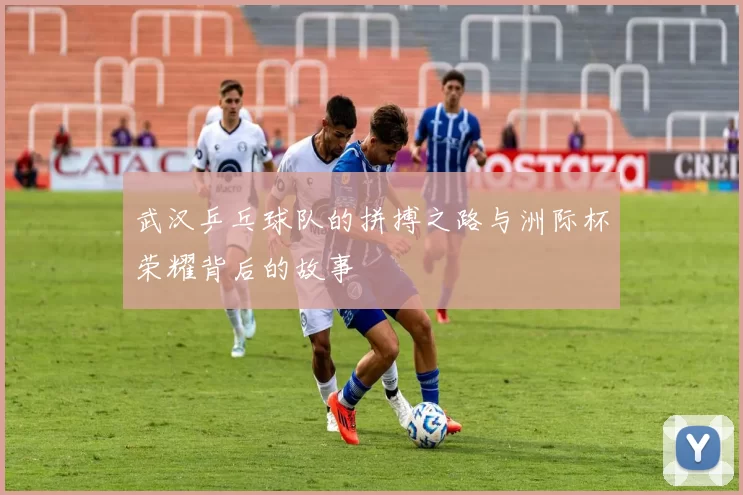 武汉乒乓球队的拼搏之路与洲际杯荣耀背后的故事