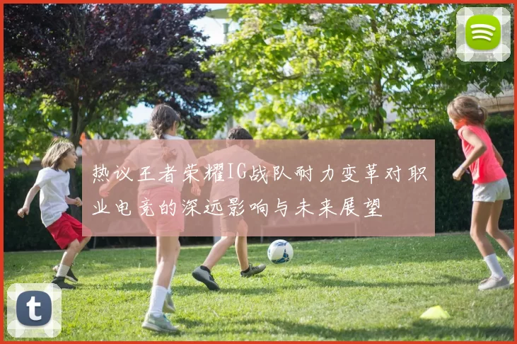 热议王者荣耀IG战队耐力变革对职业电竞的深远影响与未来展望